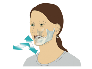 Illustration des Moduls Funktion und digitale Okklusion