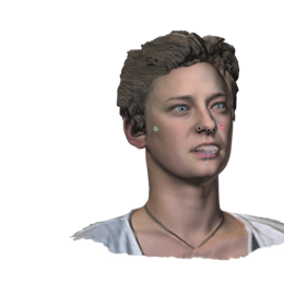 Dreidimensionale Visualisierung der Gesichtsweichteile